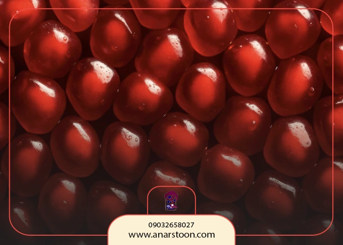 مواد لازم برای تهیه رب انار خانگیvvvvv