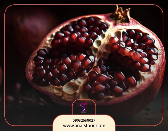 صادرات رب انار به عمان