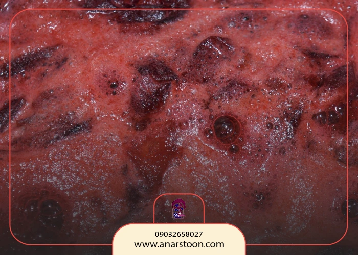 راهنمای خرید رب انار صادراتی باکیفیت